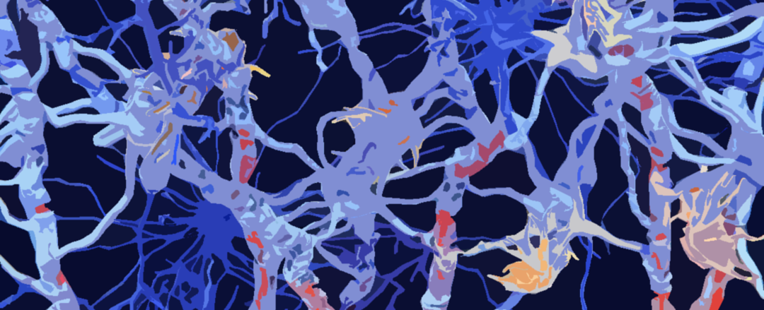 Unraveling the Mysteries of Multiple Sclerosis: Navigating the Complex World of MS